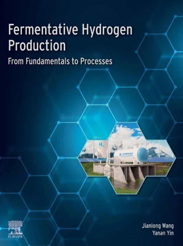 Fermentative Hydrogen Production: From Fundamentals to Processes