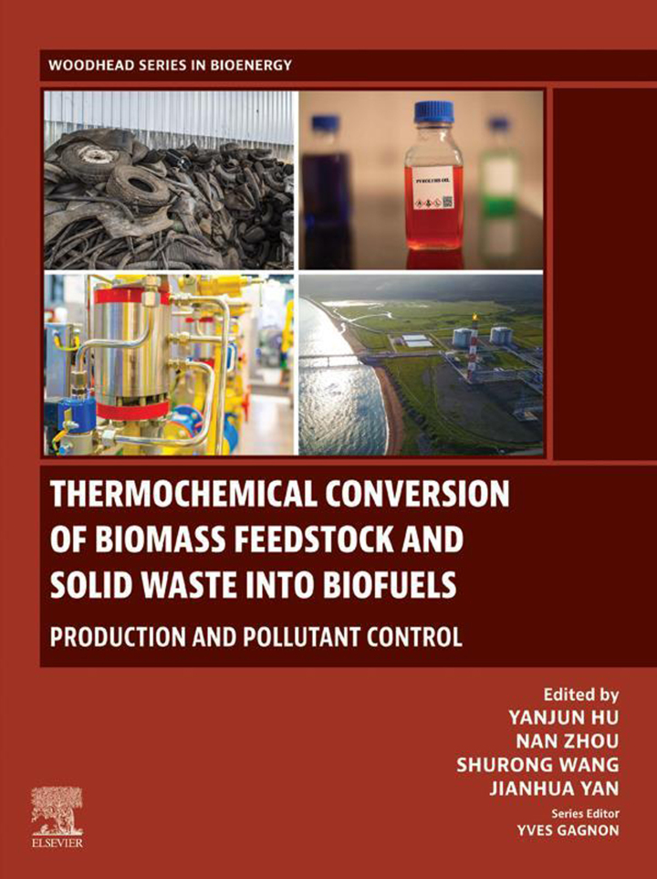 Thermochemical Conversion of Biomass Feedstock and Solid Waste into Biofuels: Production and Pollutant Control