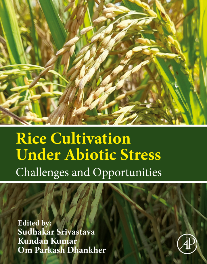 Rice Cultivation Under Abiotic Stress: Challenges and Opportunities